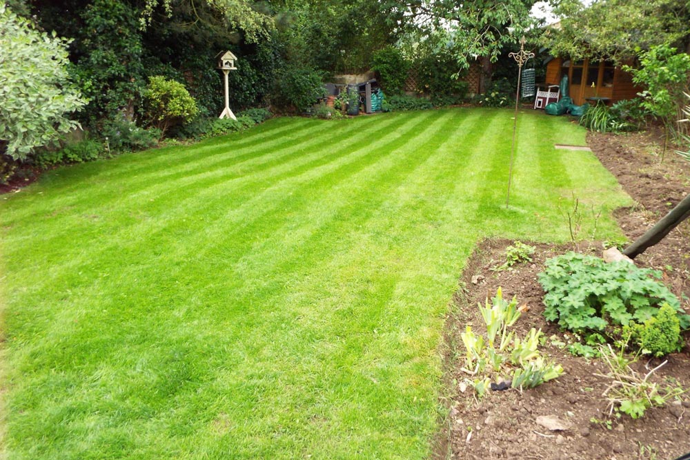 Garden Maintenance Garden Maintenance in Sri Lanka & Maldives Landscape Srilanka Asiri