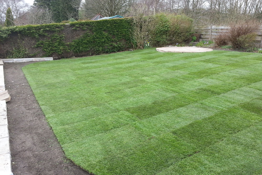 lawn-laying-lawn-laying-design-in-sri-lanka-landscape-srilanka